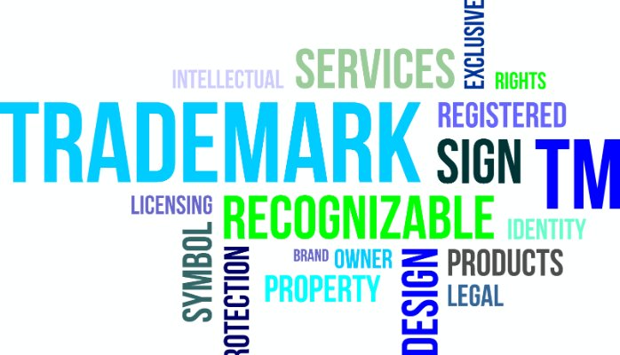 importance of trademark search
